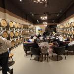 SanAntonioWinery_055 (March 05, 2023)